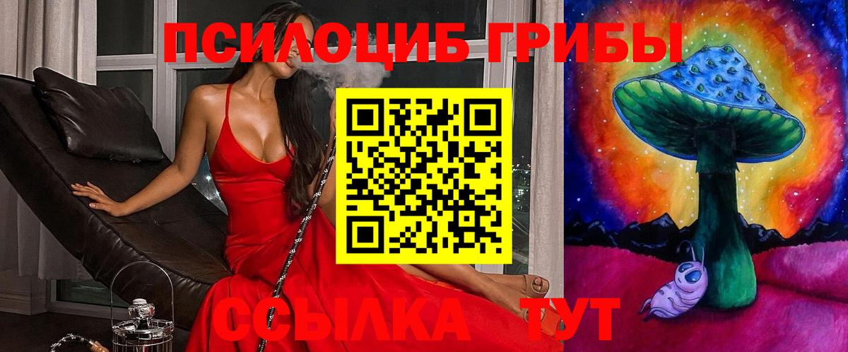 Псилоцибиновые грибы Psilocybe  Вход с VPN  Карталы 